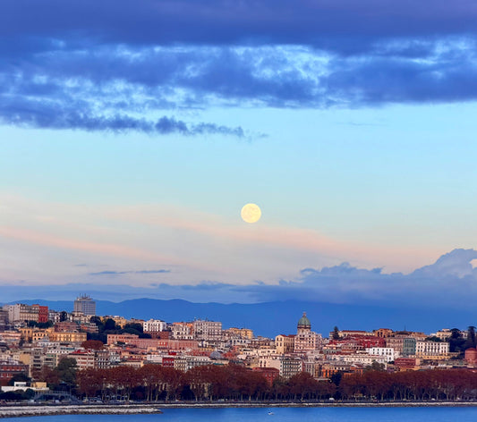 Part Of The Whole Moon